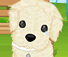 Puppy Needs Owner